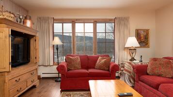 TV connectée, cheminée, lecteur de DVD, livres