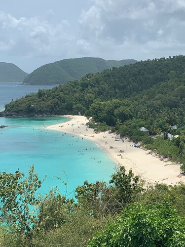 4 large bedrooms/4 full bathrooms. Pool/Beautiful Ocean views/hot tub. Cruz Bay!