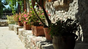 Una hilera de macetas de terracota con plantas en flor sobre un alféizar de piedra, frente a un edificio con pared de piedra y contraventanas de madera.