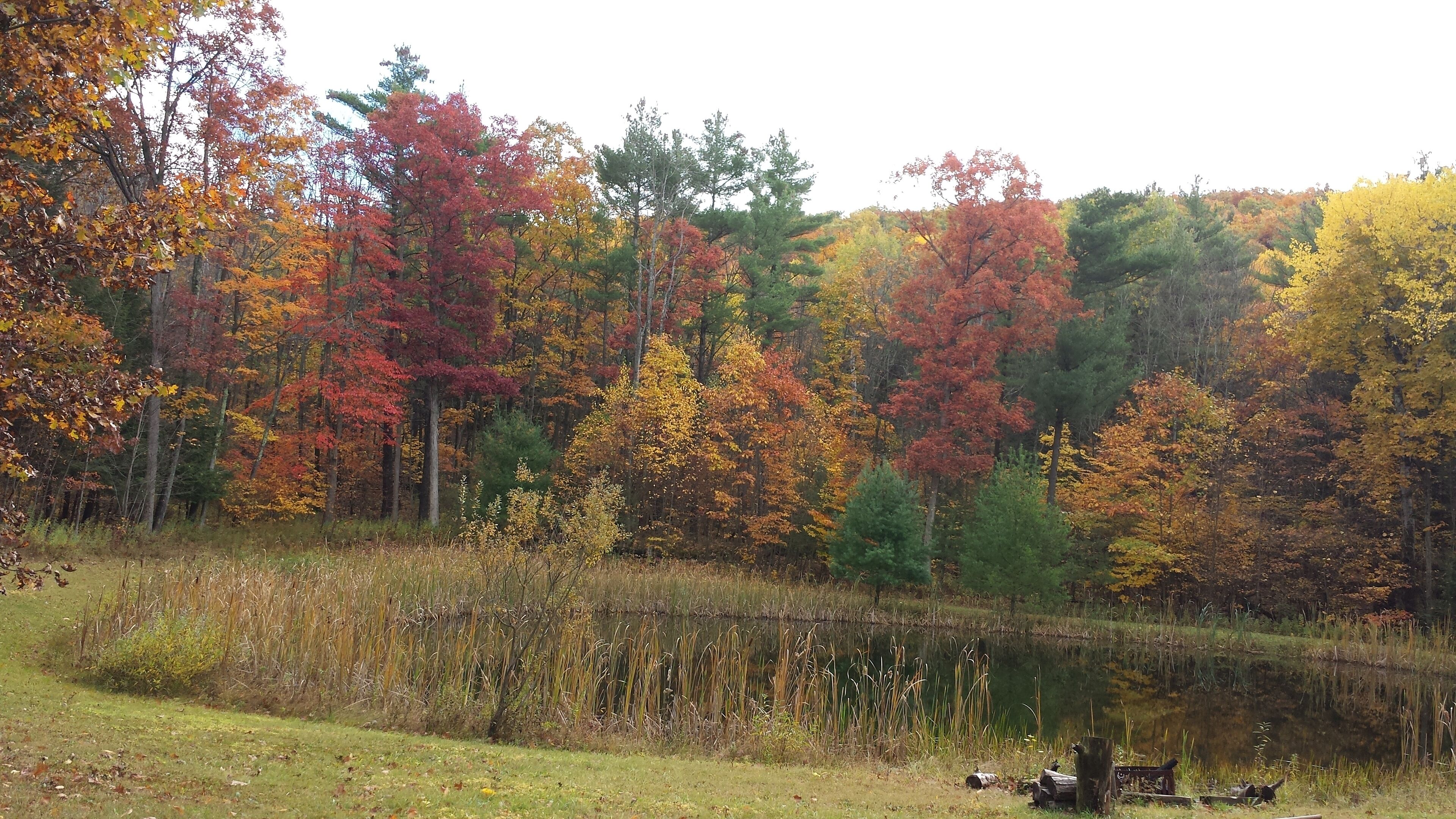 15 Best Cabin Rentals Near Letchworth State Park, New York Updated