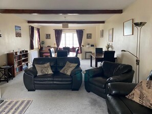 TV connectée, cheminée, lecteur de DVD, livres