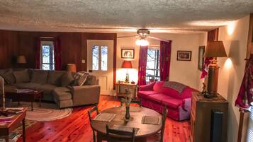 TV, DVD player, books, video library