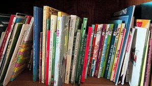 Una estantería llena de libros diversos.