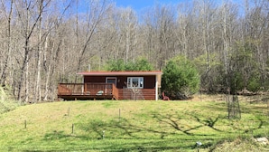 Une petite cabane avec une terrasse en bois et un toit rouge, entourée d’arbres et d’une zone herbeuse.