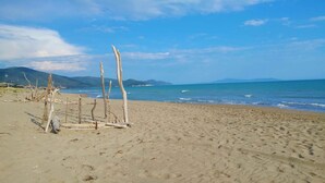 Una playa con ramas de madera a la orilla, cielos despejados y montañas al lejano.