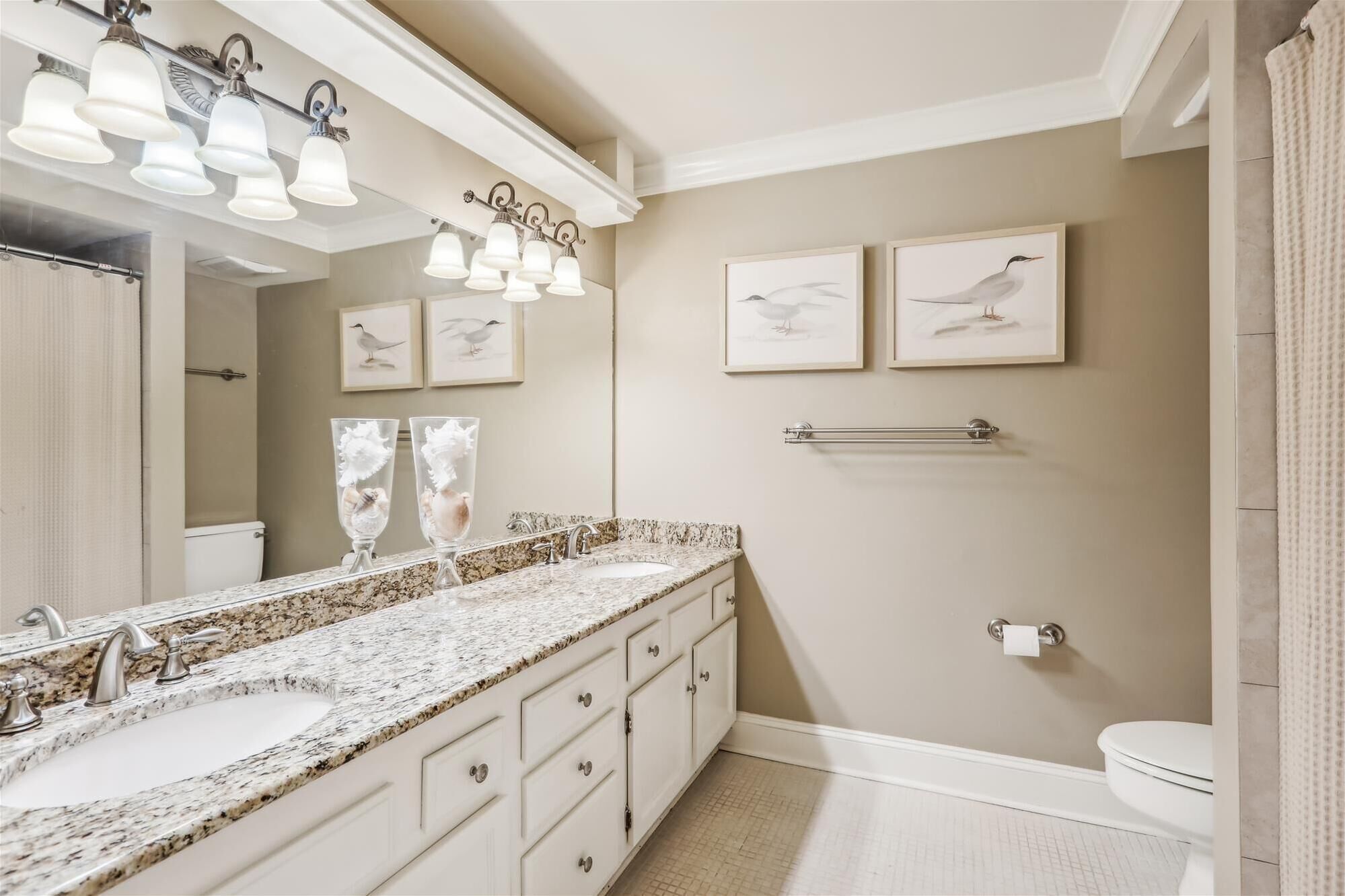 A bathroom with a granite countertop sink, a mirror, and wall-mounted lights. There are framed bird paintings on the wall and a towel rack.
