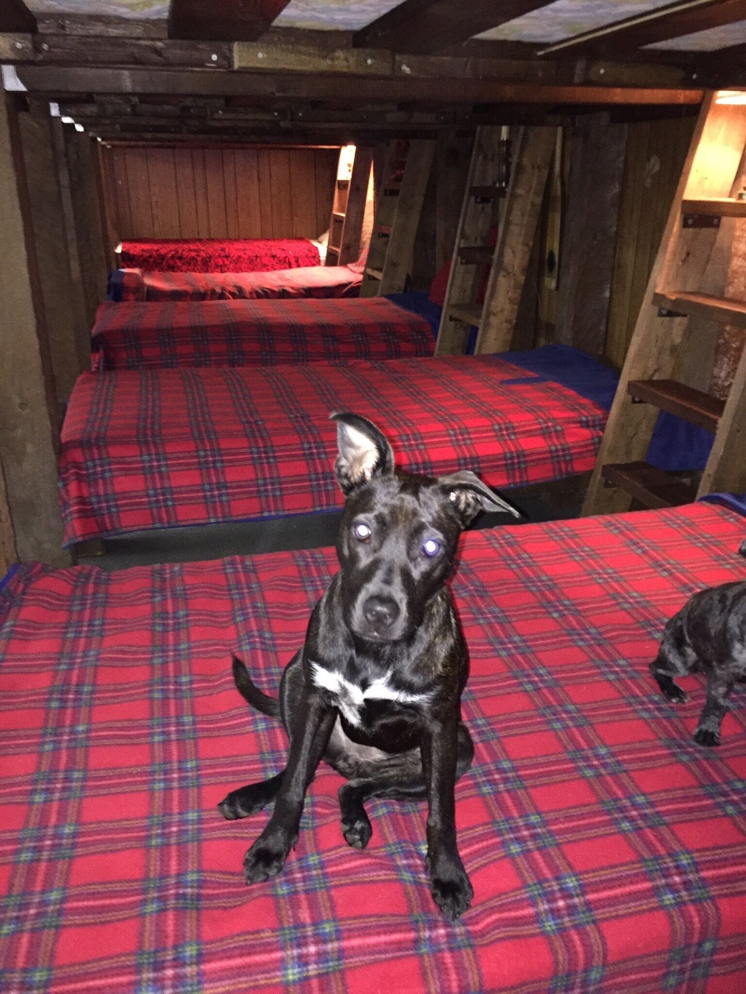 Fish - Boat - Swim - Tube - Ski - Camp