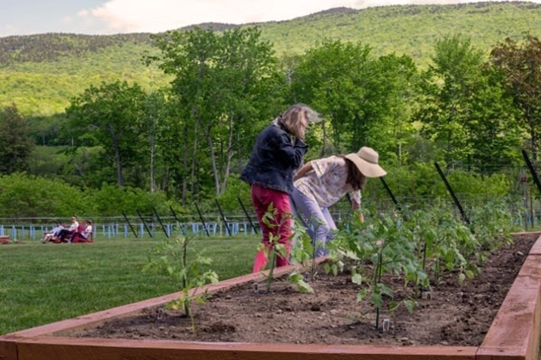 A garden with raised beds and people tending to plants.