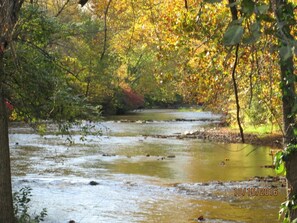 Property grounds - Creek Side Home-Fly Fishing, Nature Walks (Boiling Springs)