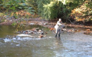 Beach - Creek Side Home-Fly Fishing, Nature Walks (Boiling Springs)