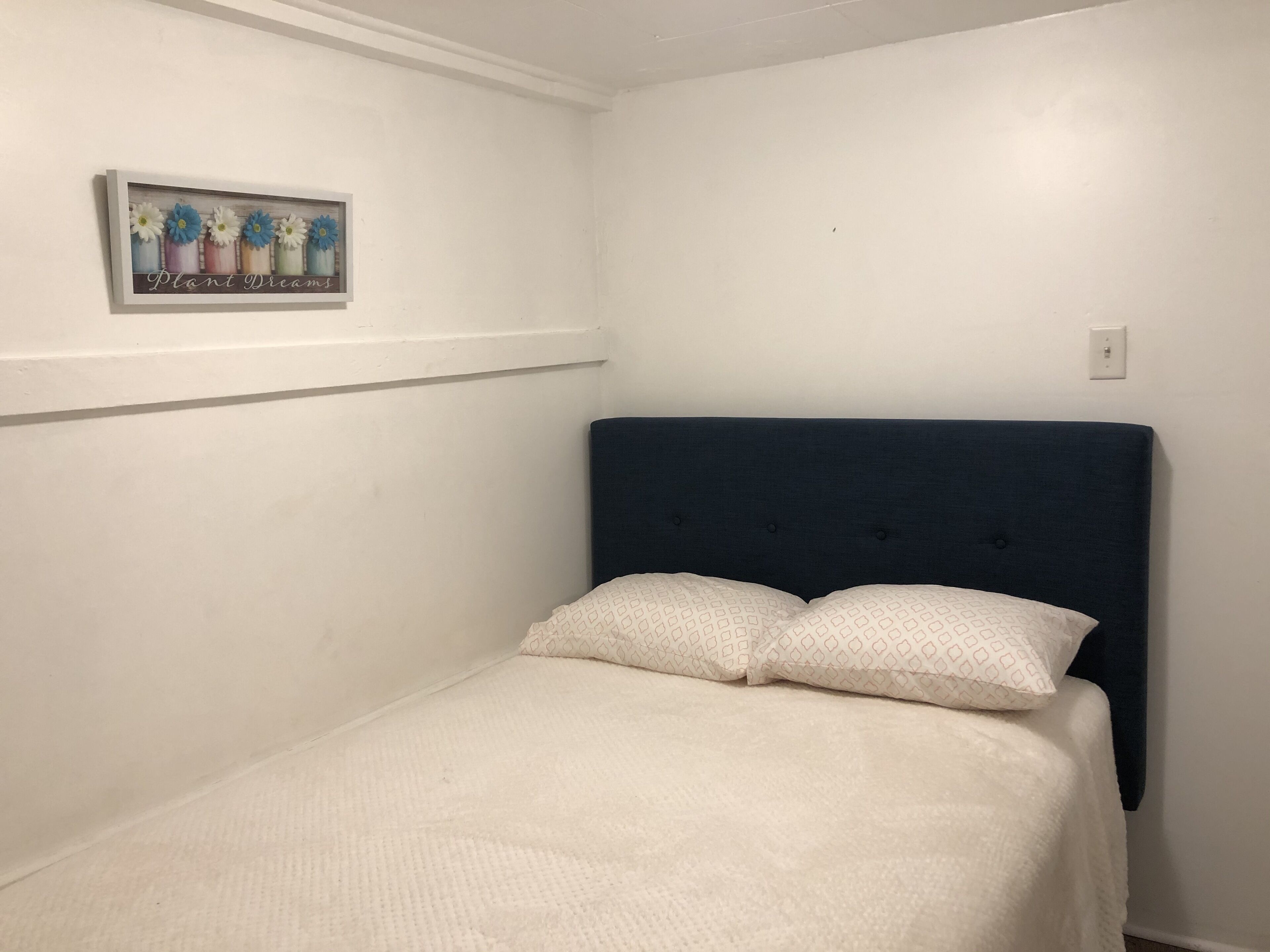 A single bed with a dark headboard and two pillows, a wall-mounted picture frame with flowers, and a light switch on the wall.