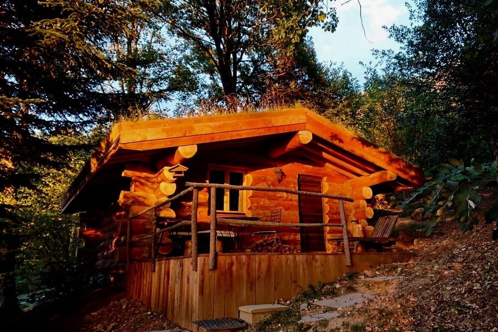 The 13 trees log cabin