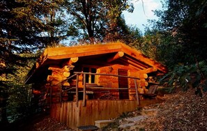 Exterior - The 13 trees log cabin (Collonges-sous-Salève)