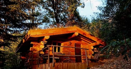 Das Blockhaus mit 13 Bäumen