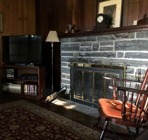 A living room with a fireplace, a television, and a bookshelf.