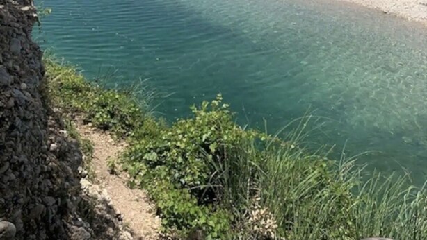 Una vista limpida su un fiume con una spiaggia sabbiosa e vegetazione sullo sfondo.