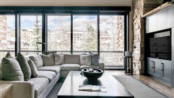 TV, fireplace, offices, computer monitors