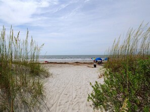 Walk along the beach pathway to the shoreline, flanked by lush vegetation and beach amenities.