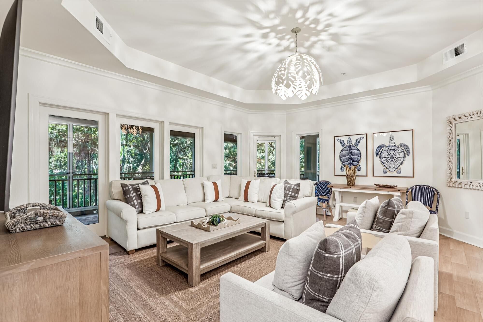 平板电视、DVD 播放器、智能音箱