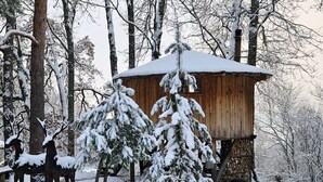 Uklassifisert bilde, 5 av 23, knapp