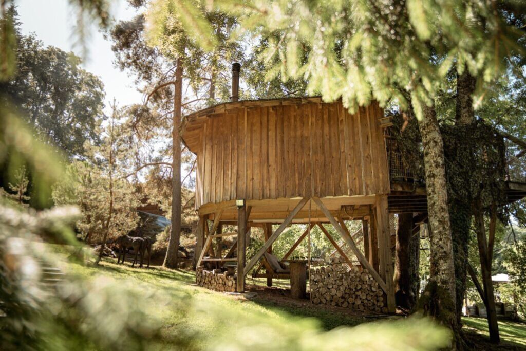Une cabane en bois au design simple et rustique, entourée d’arbres et d’une zone herbeuse.