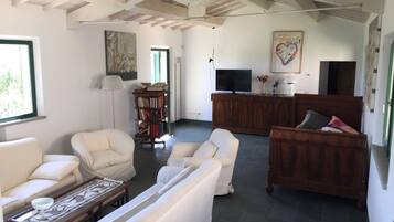 TV, caminetto, lettore DVD, libri