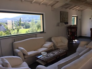 TV, fireplace, DVD player, books