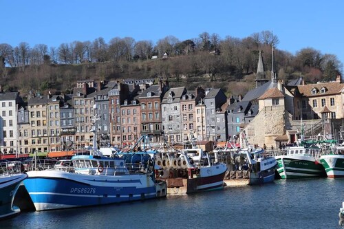 Les Mouailleries on the ground floor 2 bedrooms 2 bathrooms