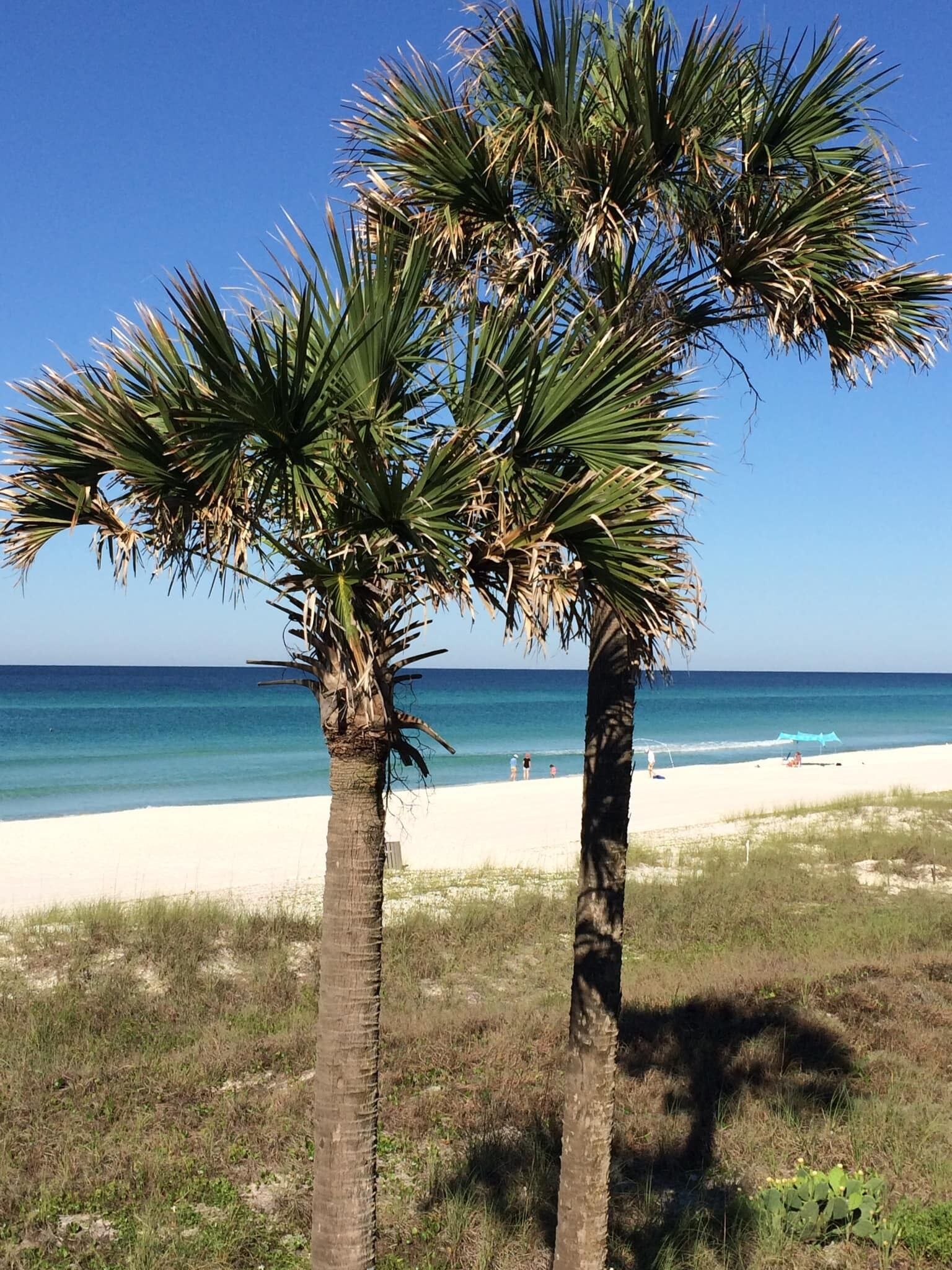 view just steps from your feet!