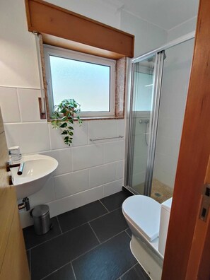 A bathroom with a white sink, a toilet, a glass shower enclosure, and a window with a plant.