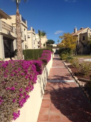 Property grounds - App,  2 bedroom 2 terraces, Swimming pool + Parking (Algorfa)