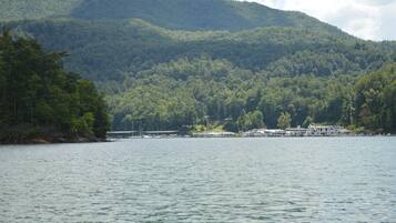 A lakeside view with a dock and boats, surrounded by dense forest and hills.