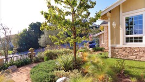 Jardim bem cuidado com diversos tipos de plantas e um caminho que leva a uma casa com fachada de pedra e grandes janelas.
