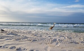 Beach nearby - My little slice of paradise on Okaloosa Island (Fort Walton Beach)