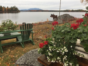 front yard
