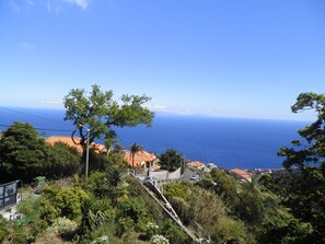 Eine Küstenlandschaft mit freiem Blick auf das Meer, ein Hang mit Vegetation und Gebäude mit roten Ziegeldächern.