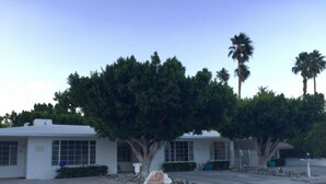 A building with a white exterior, large windows, and a tree in front. - Downtown-PALM-SPRINGS-Get-AWAY (Palm Springs)