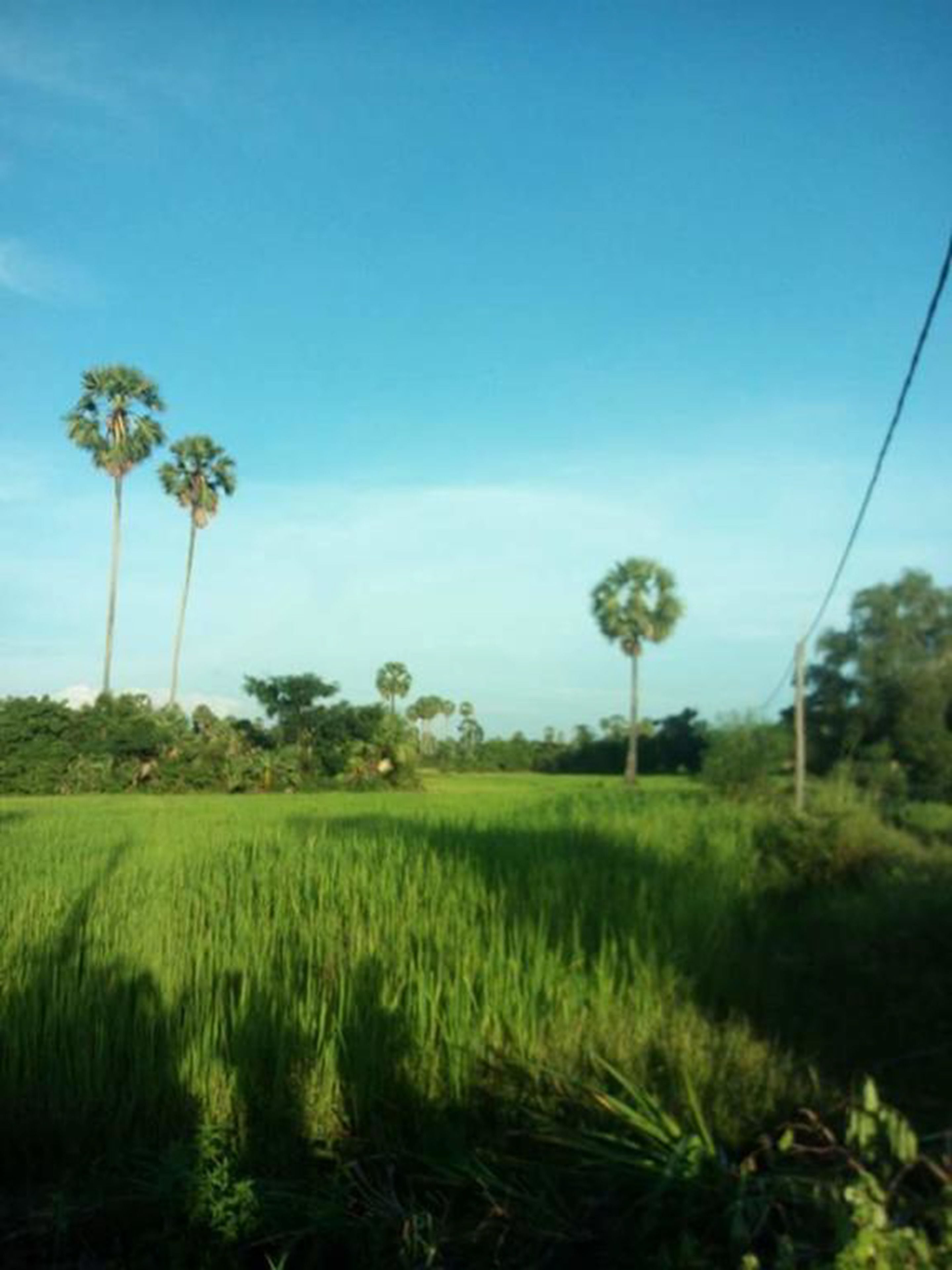 Foto - Sok Phen Homestay