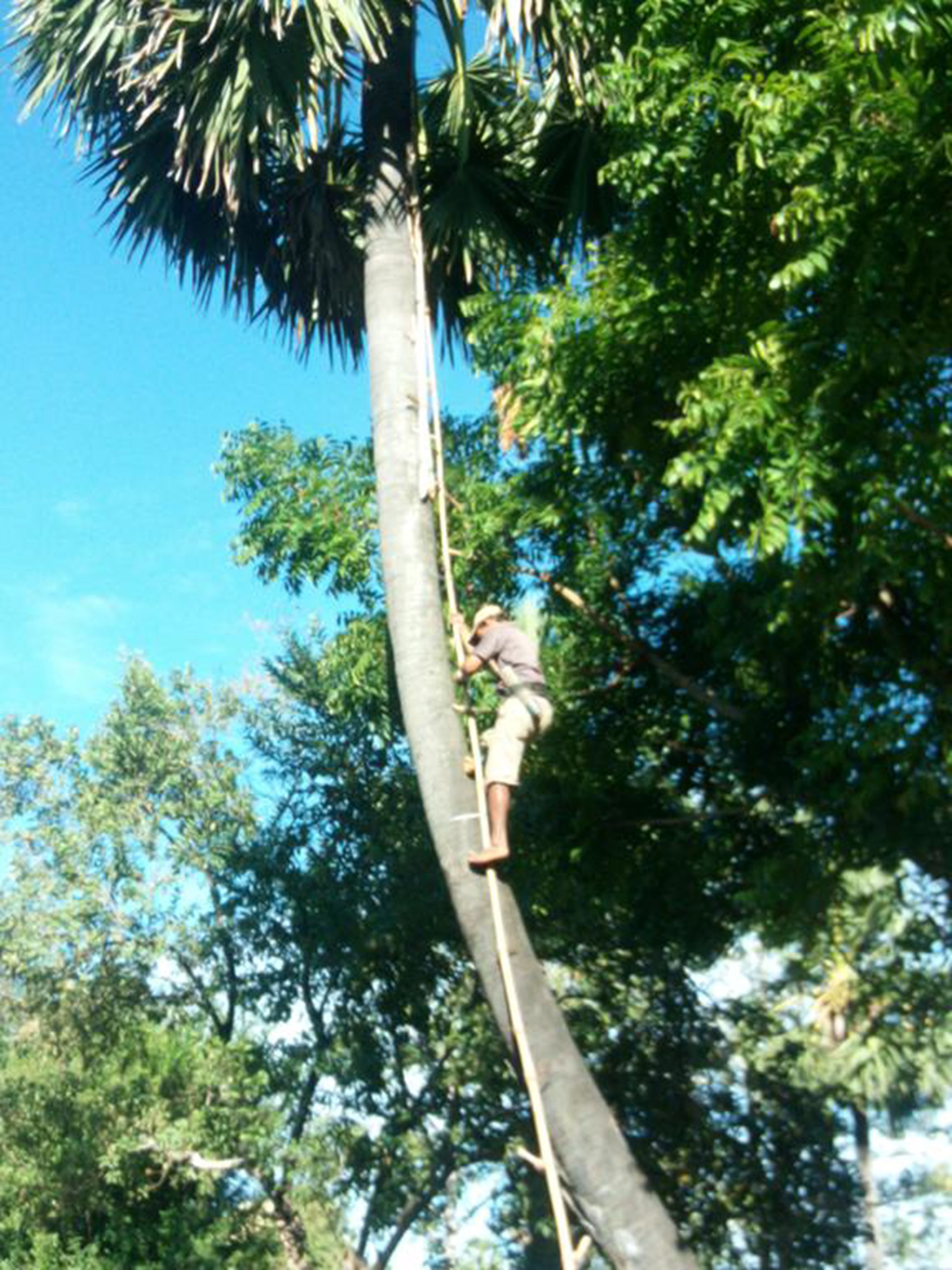 Foto - Sok Phen Homestay