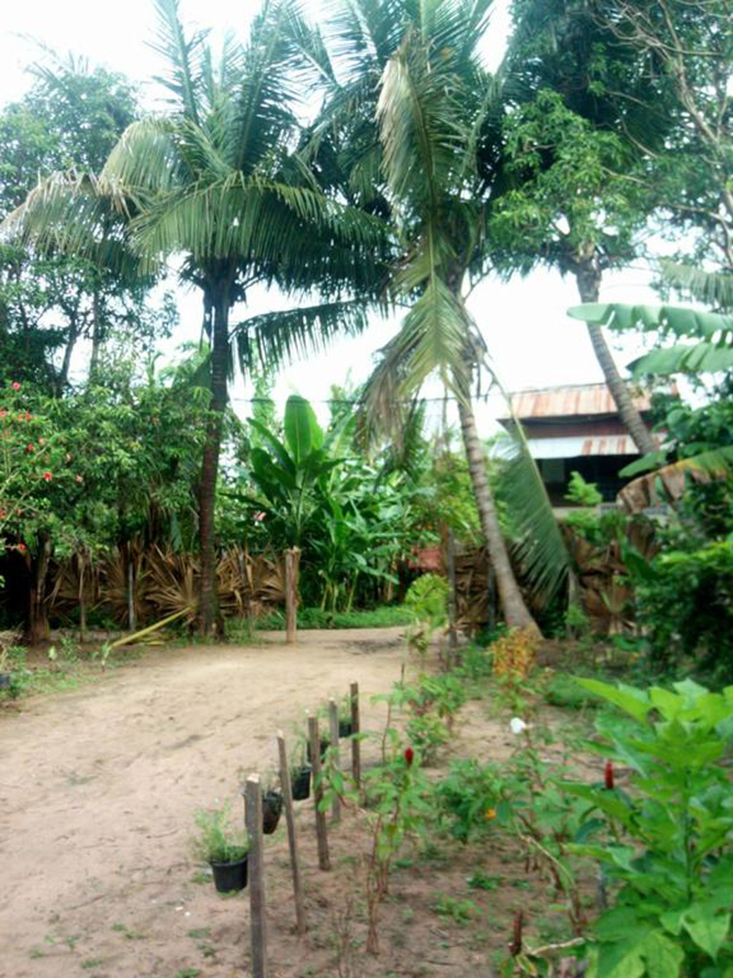 Foto - Sok Phen Homestay