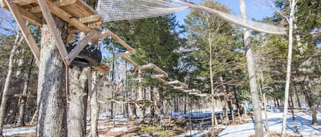 Taukurs (teambygging)