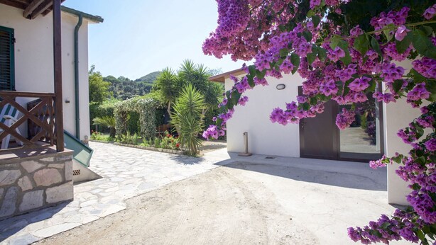Eine Villa mit einem gepflasterten Weg, der zu einer Holztür führt, umgeben von üppigem Grün und violetten Blumen.