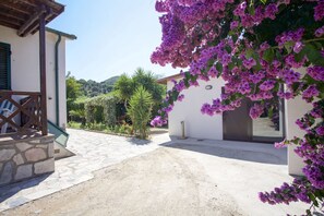 Une villa avec un chemin de pierre menant à une porte en bois, entourée d’une végétation luxuriante et de fleurs violettes.