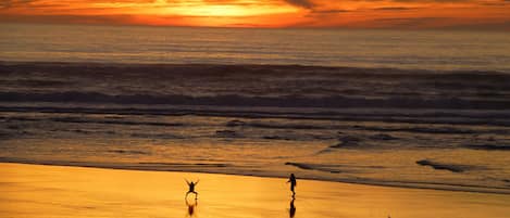 Playa