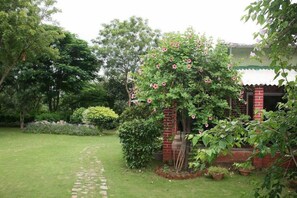 Trädgård