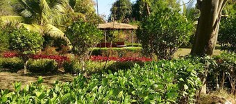 Baaz Jungle Resort