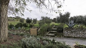 A garden with stone steps, a wooden box, and various plants. -  Padronale house apartment Fontaccia (Montiano)