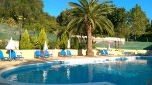 A swimming pool with blue chairs and a palm tree. - Hotel Tina (Corfu)