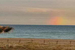 Ein Strand mit Zaun und einer Palme.