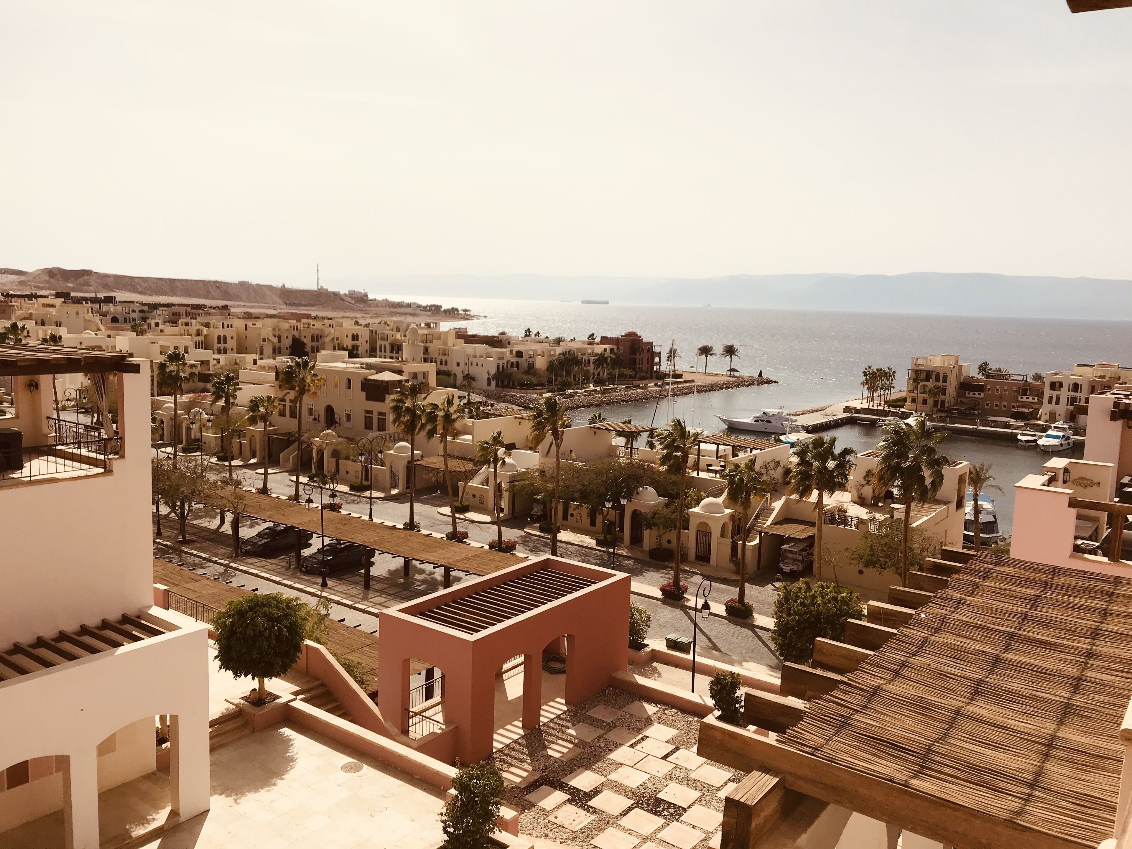 A coastal town with buildings, palm trees, and a marina.